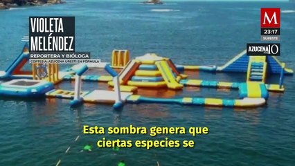 Sombra de inflable en 'Aquafest' pudo atraer al tiburón en ataque a María Fernanda