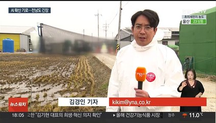 고흥 이어 무안 오리 농장서도…전남 AI 확산 기로