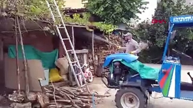 Karadeniz fındığı tehlikede! ''Kahverengi kokarca'' bahçeleri istila etti