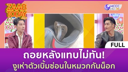[คลิปเต็ม] ถอยหลังแทบไม่ทัน! งูเห่าตัวเบิ้มซ่อนในหมวกกันน็อก (6 ธ.ค. 66) | แซ่บทูเดย์