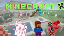 miniecraft-level1