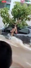 Motorista foge de enxurrada ao ficar preso em árvore