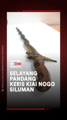 Selayang Pandang Keris Kiai Nogo Siluman