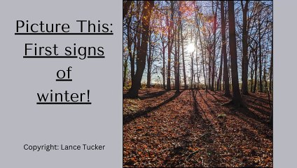 Picture This: First signs of winter!