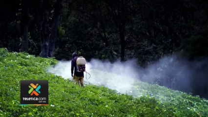 tn7-agro-advierte-problemas-para-control-de-plagas-061223