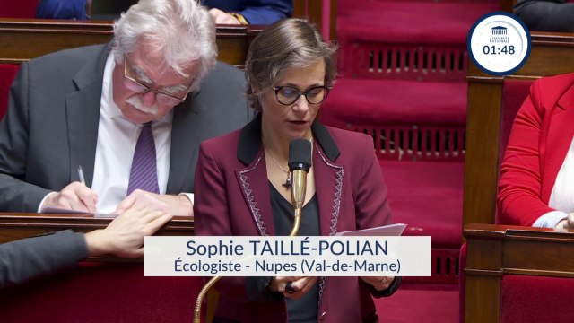 Contrôles anti-fraude de la Caf: Les critères discriminants doivent impérativement être écartés , demande Sophie Taillé-Polian (écologiste)