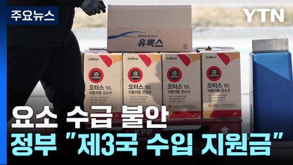 "요소 1통씩만 판매"...정부 "제3국 수입시 지원금" / YTN