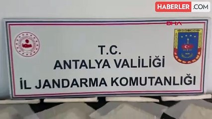 Antalya'da 2 Milyon TL Değerinde Bonzai Ele Geçirildi