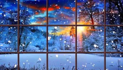 Puiu Nastase-Colindul gutuii din geam