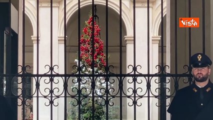 Un albero di Natale tricolore per Palazzo Chigi, ecco l'abete allestito nel cortile
