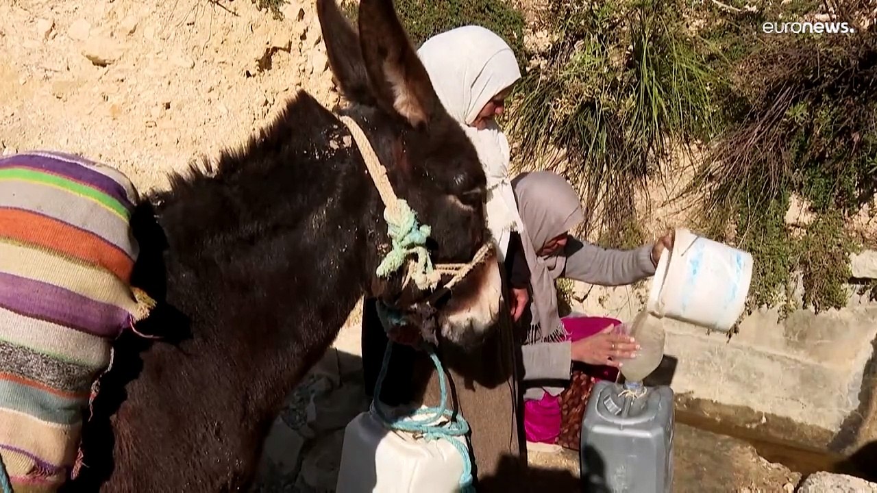 شاهد: سكان قرية "أولاد عمر" التونسية يعانون بسبب شحّ المياه والتغير المناخي