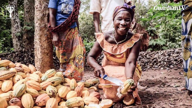 'There must be accountability on our National resources' - Akinwumi Adesina