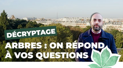 Tout savoir sur les arbres à Paris ! | Paris Nature | Ville de Paris