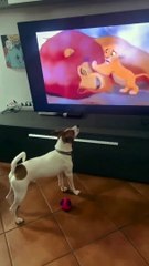 He Felt the Pain 😔