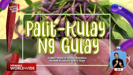 Red okra at siling kulay ube, ano ang lasa? | Dapat Alam Mo!