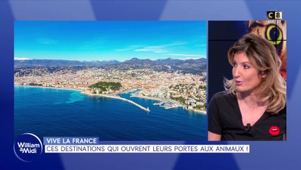 Vive la France : Ces destinations qui ouvrent leurs portes aux animaux !