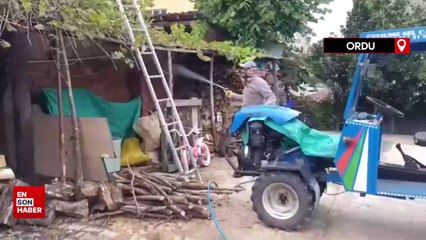 Kahverengi kokarca fındık rekoltesine yüzde 10 zarar verdi