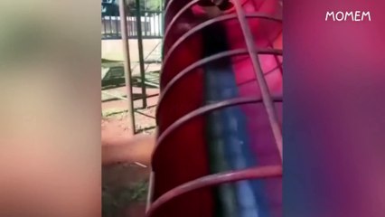 SaveTube.App-you laugh, you restart-(1080p)