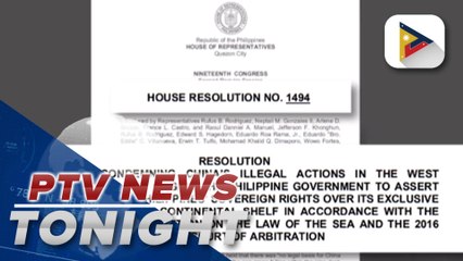 Lower house adopts resolution condemning China's actions in the West PH Sea