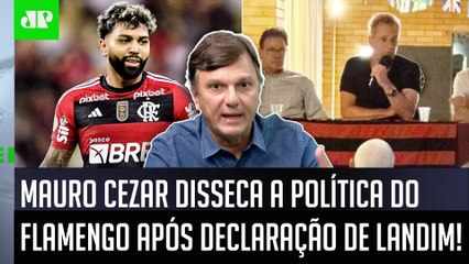 "POR QUE AS PESSOAS ESTÃO ASSUSTADAS COM ISSO? O FLAMENGO..." Mauro Cezar ANALISA FALA de Landim!