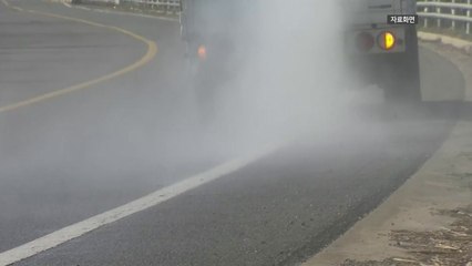 전남 고흥에 이어 무안 오리 농장에서도 AI 확진 / YTN