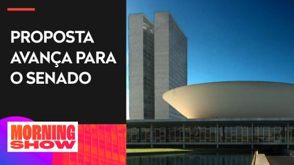 Câmara aprova proibição de linguagem neutra em órgãos públicos