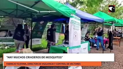 Continúan las campañas para prevenir el dengue en Posadas