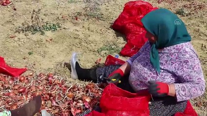 CKD Ve TSB'den Üreten Kadınlara Ödül