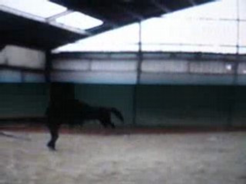 ramdam 3 ans