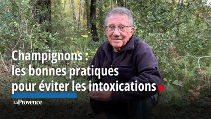 Champignons : les bonnes pratiques pour éviter les intoxications