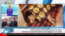 Ο Δήμαρχος Αράχωβας στο STAR για την κακοποίηση του σκύλου