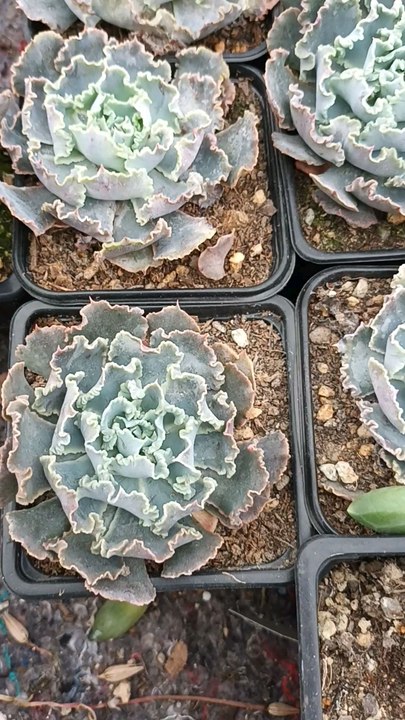 Voici ma nouvelle vidéo