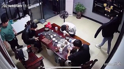 Un chat tombe du plafond en plein magasin