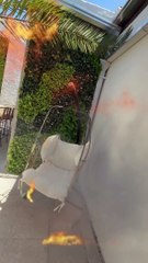 Cinthia Fernández presentó su nuevo curro: una sala de escape