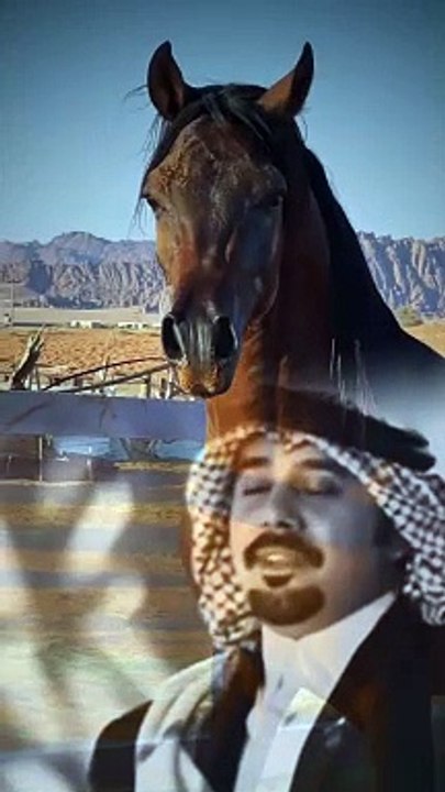 شعر