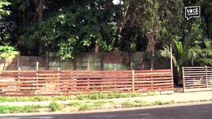 Dona de casa Gilmara Gonçalves teme queda de árvore em rua do Maracangalha