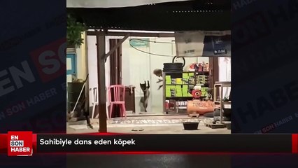 Sahibiyle dans eden köpek