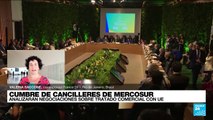 Informe desde Río de Janeiro: Luiz Inácio Lula da Silva recibirá la cumbre del Mercosur en Brasil