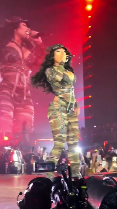 Megan Thee Stallion: From Houston Hottie to Grammy Queen | A Musical Journey