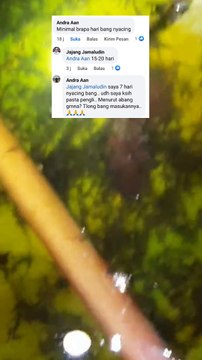 Salah satu FAKTOR kualitas bibit lele JELEK adalah kurang asumsi pakan cacing sutera saat masih larva