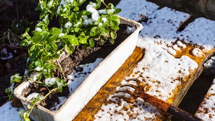 This Winter Gardening Checklist Will Set You Up for Spring Success
