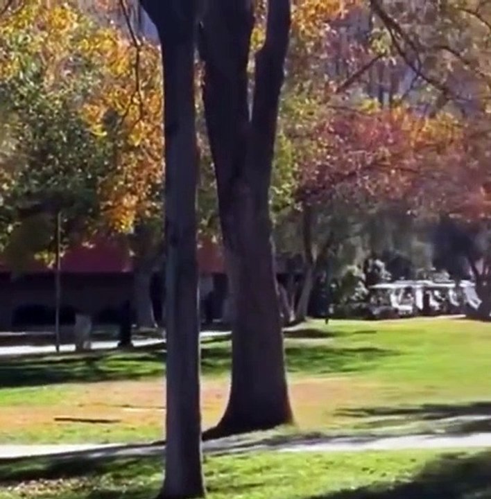 UNLV Shooting: Suspect Killed as Las Vegas Police Confirm Multiple Casualties