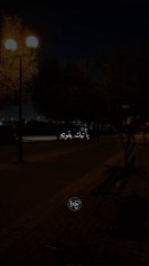 SaveInsta.App - 3236019034473814360