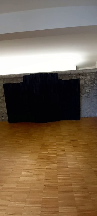 Musée de Grenoble - Département de l'Isère  #isère #cultureisère #musée #culture #france #grenoble   (16)