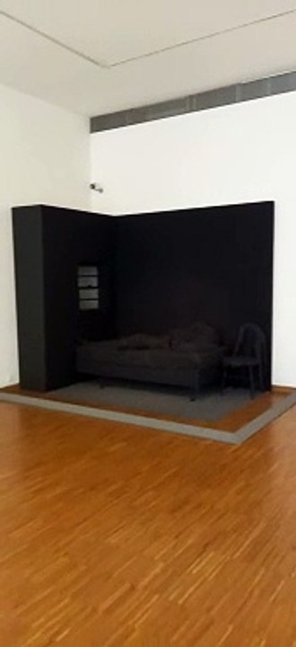 Musée de Grenoble - Département de l'Isère  #isère #cultureisère #musée #culture #france #grenoble   (17)