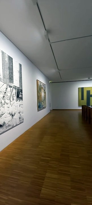 Musée de Grenoble - Département de l'Isère  #isère #cultureisère #musée #culture #france #grenoble   (20)