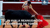 Corte da “luz verde” a corridas de toros en la Plaza México en CDMX
