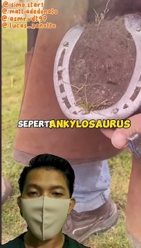 Fakta menarik Dinosaurus #fakta #faktamenarik #dinosaurus #faktaunik