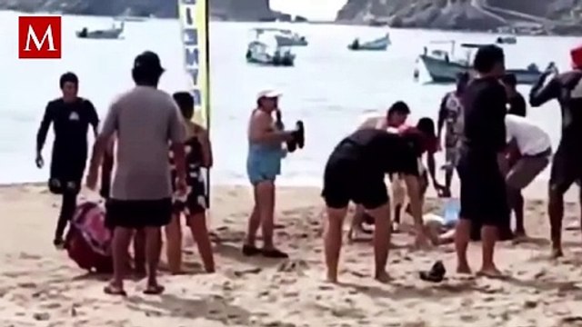 El tiburón toro es una de las especies más peligrosas; esto es lo que debes saber sobre ellos