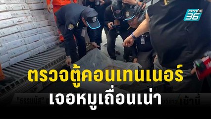 "ธรรมนัส" ตรวจตู้คอนเทนเนอร์ ผงะ! เจอหมูเถื่อนเน่า | โชว์ข่าวเช้านี้ | 7 ธ.ค. 66